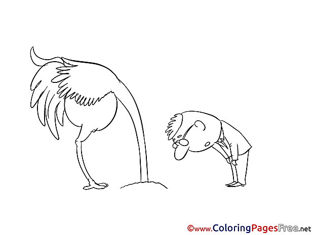 Ostrich printable Coloring Pages for free