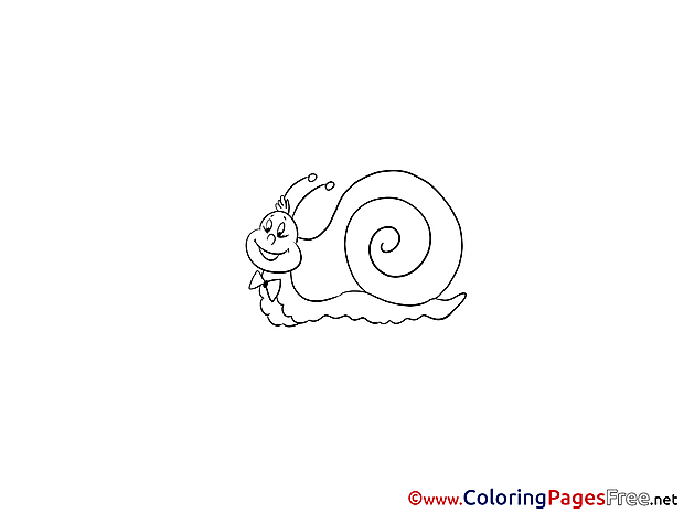 Snail download Coloring Pages  for Kids