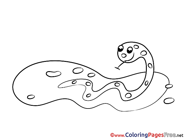 Snake download Colouring Sheet free