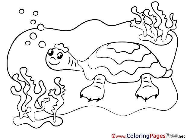 Turtle Colouring Page printable free