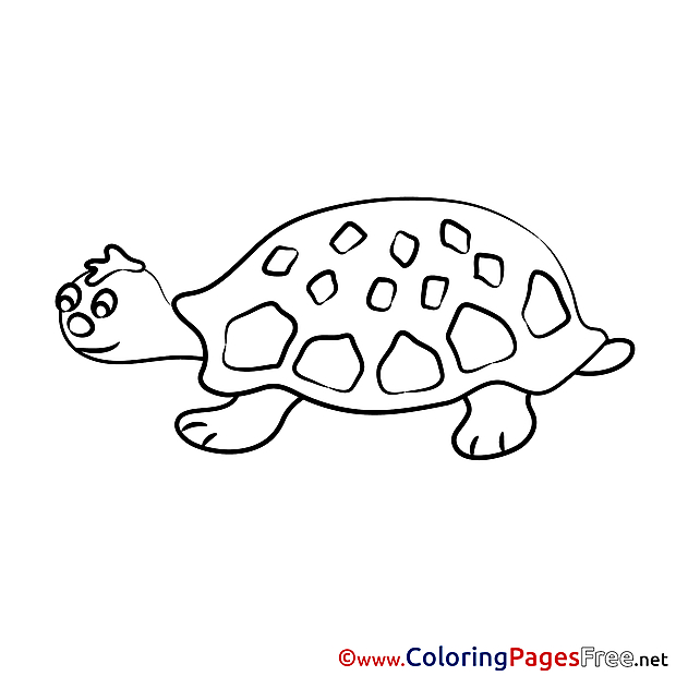 Turtle printable Colouring Page for Kids