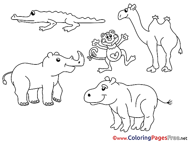 Zoo Animals  Coloring Sheets download free
