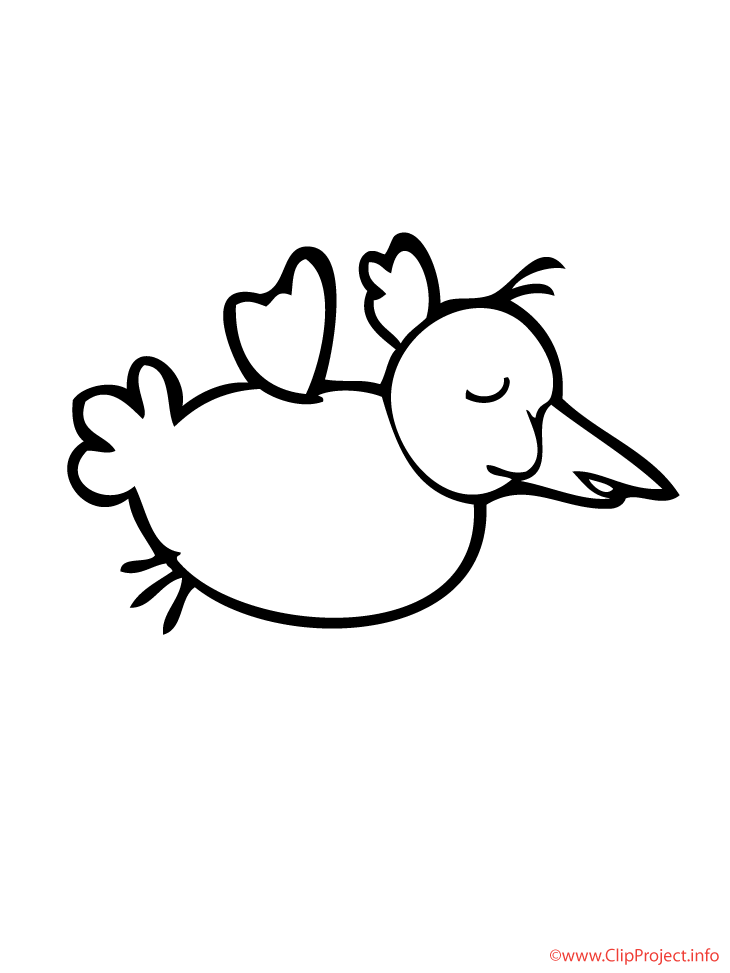 Bird coloring sheet