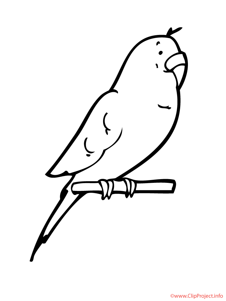 Parrot Printable Coloring Page