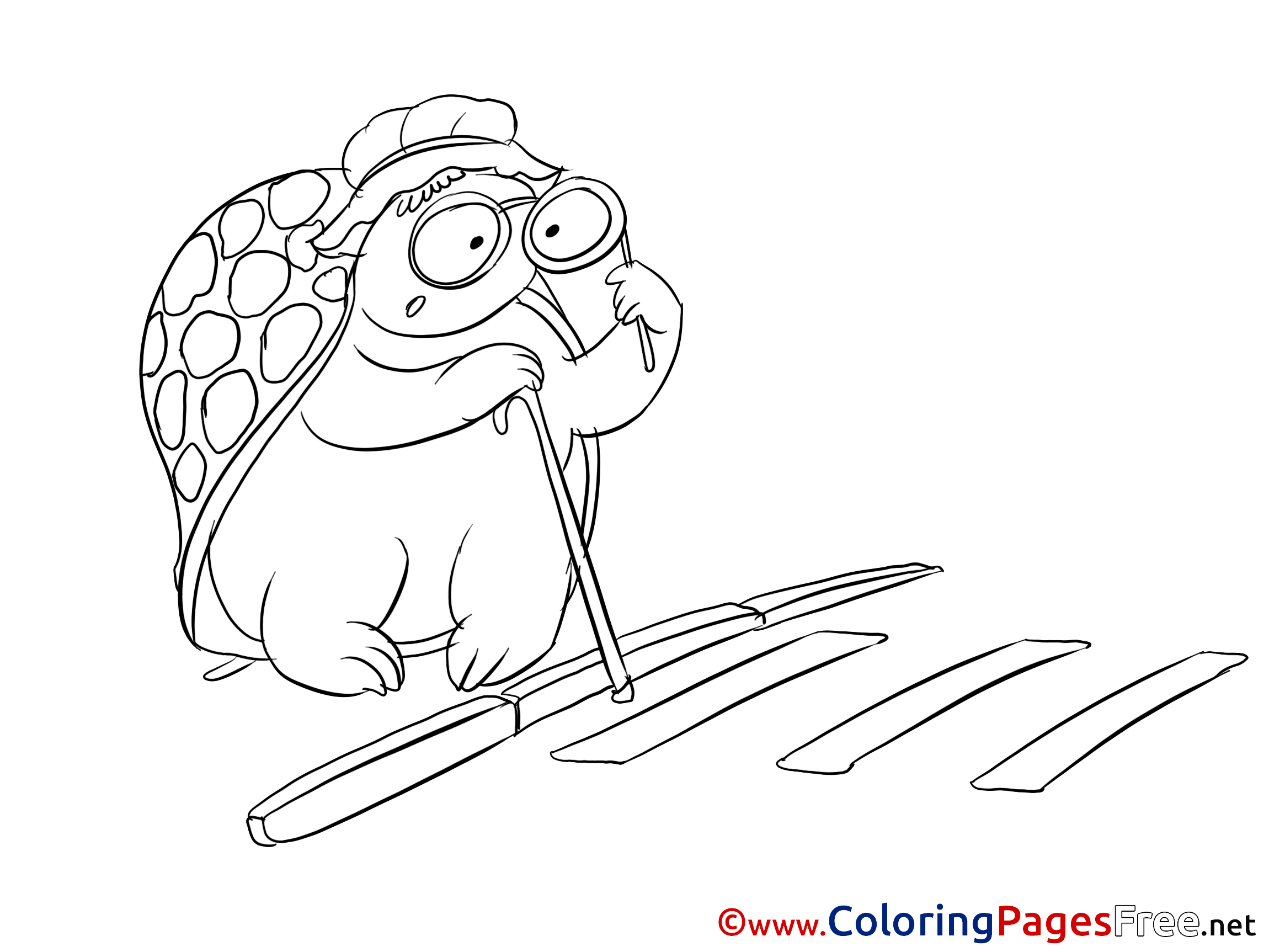 Printable Turtle Coloring Page