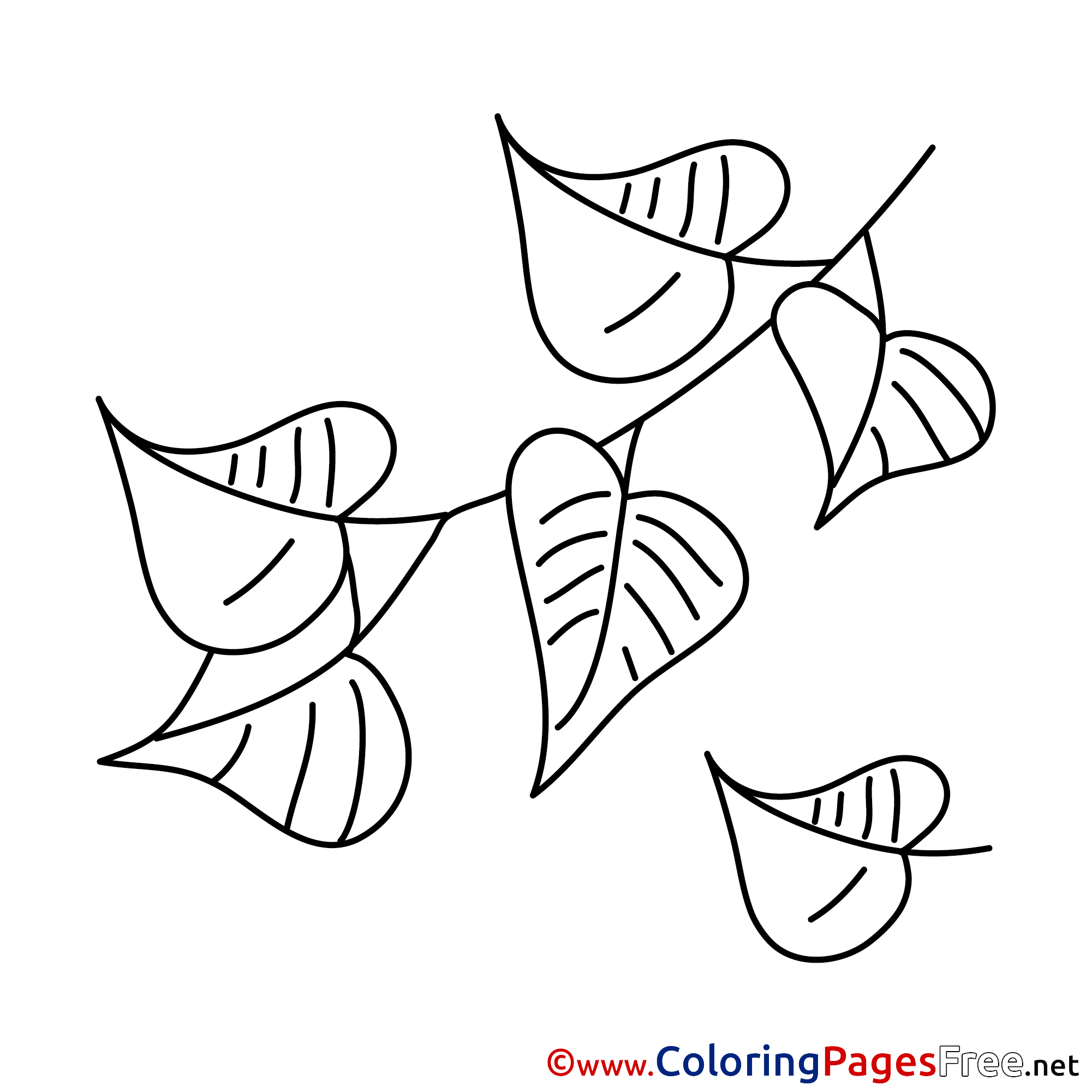 Picture Leaves Coloring Pages For Free picture-leaves-coloring-pages-for-free