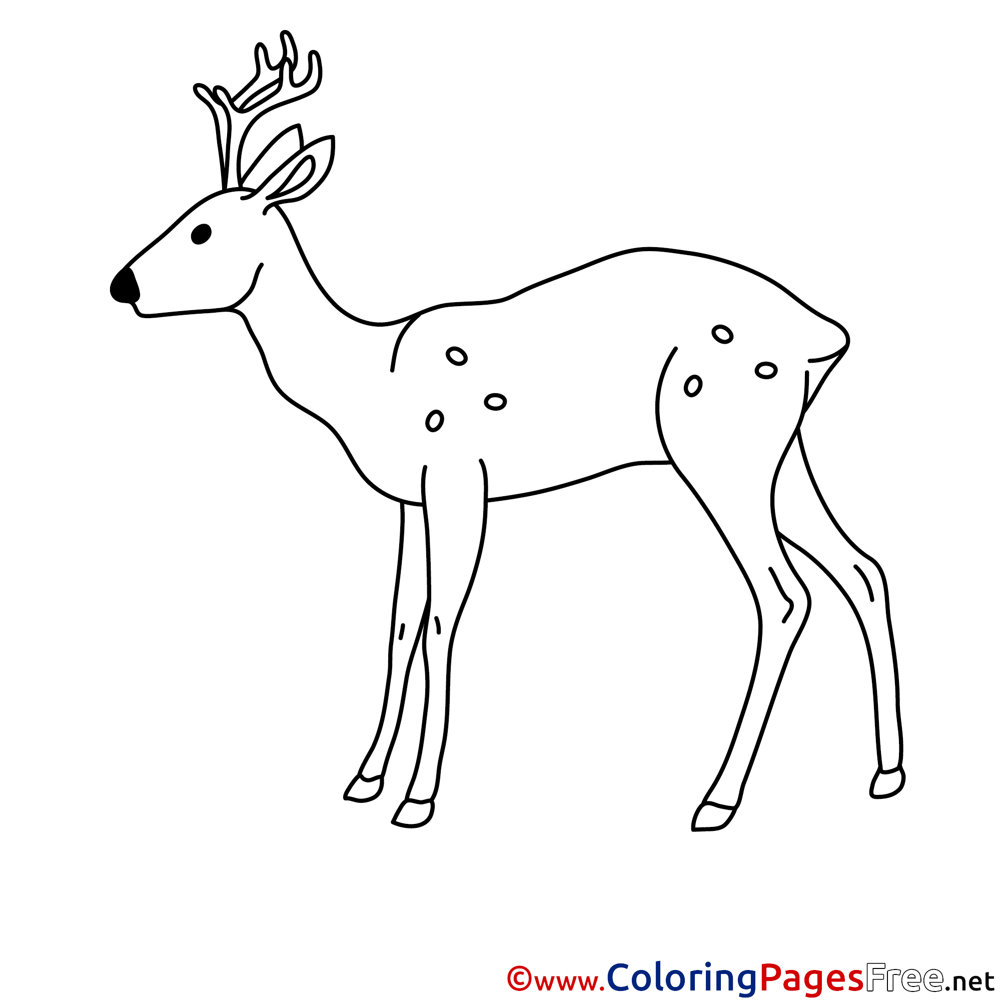 Deer Colouring Page Printable Free