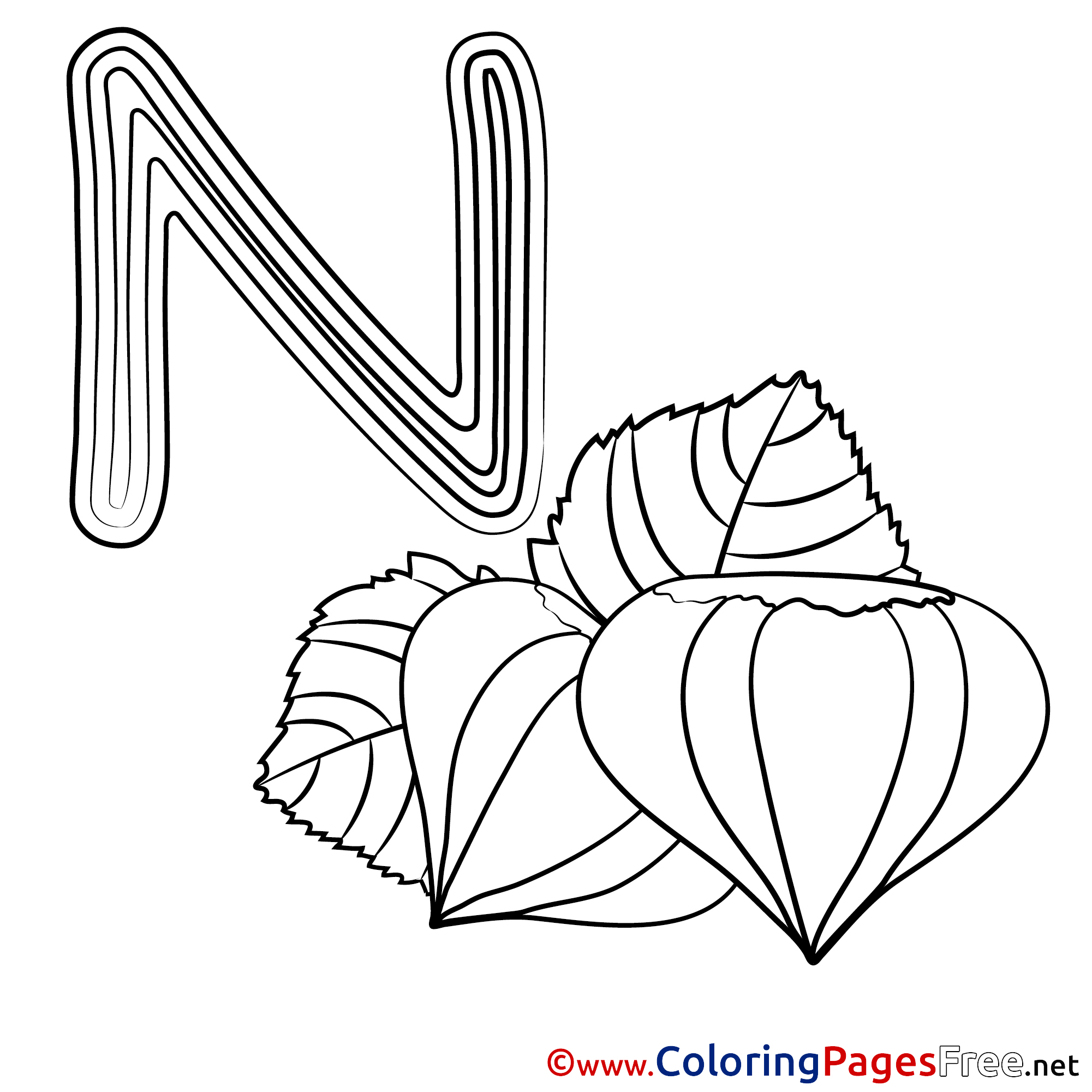 Nut printable Coloring Pages Alphabet
