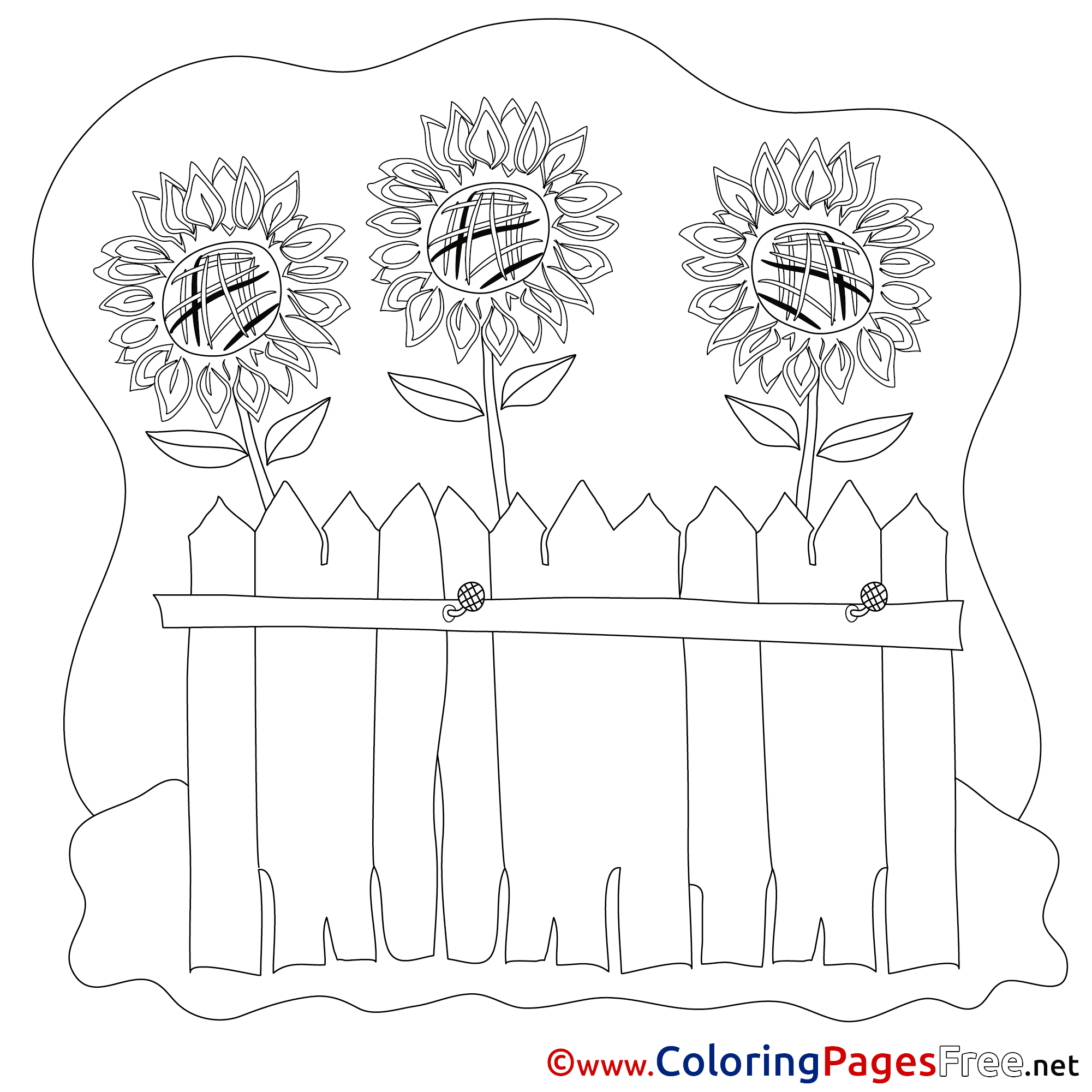 Flowers Coloring Pages for free