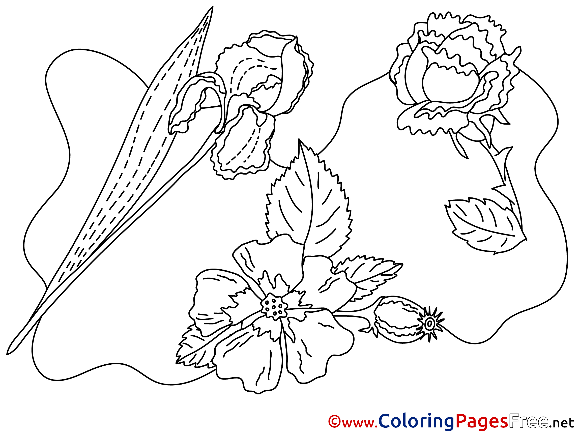 Flowering free printable Coloring Sheets