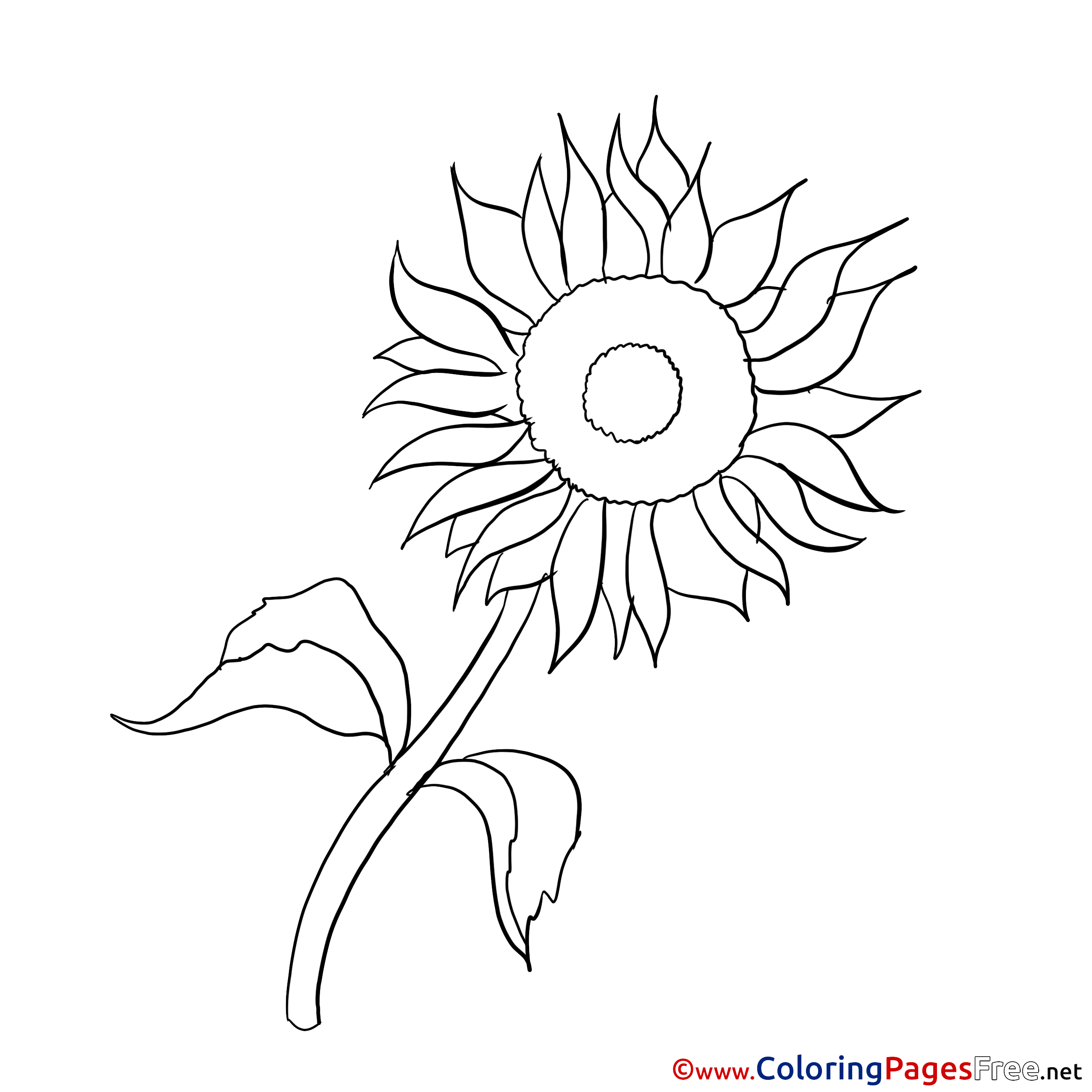 My Image 41