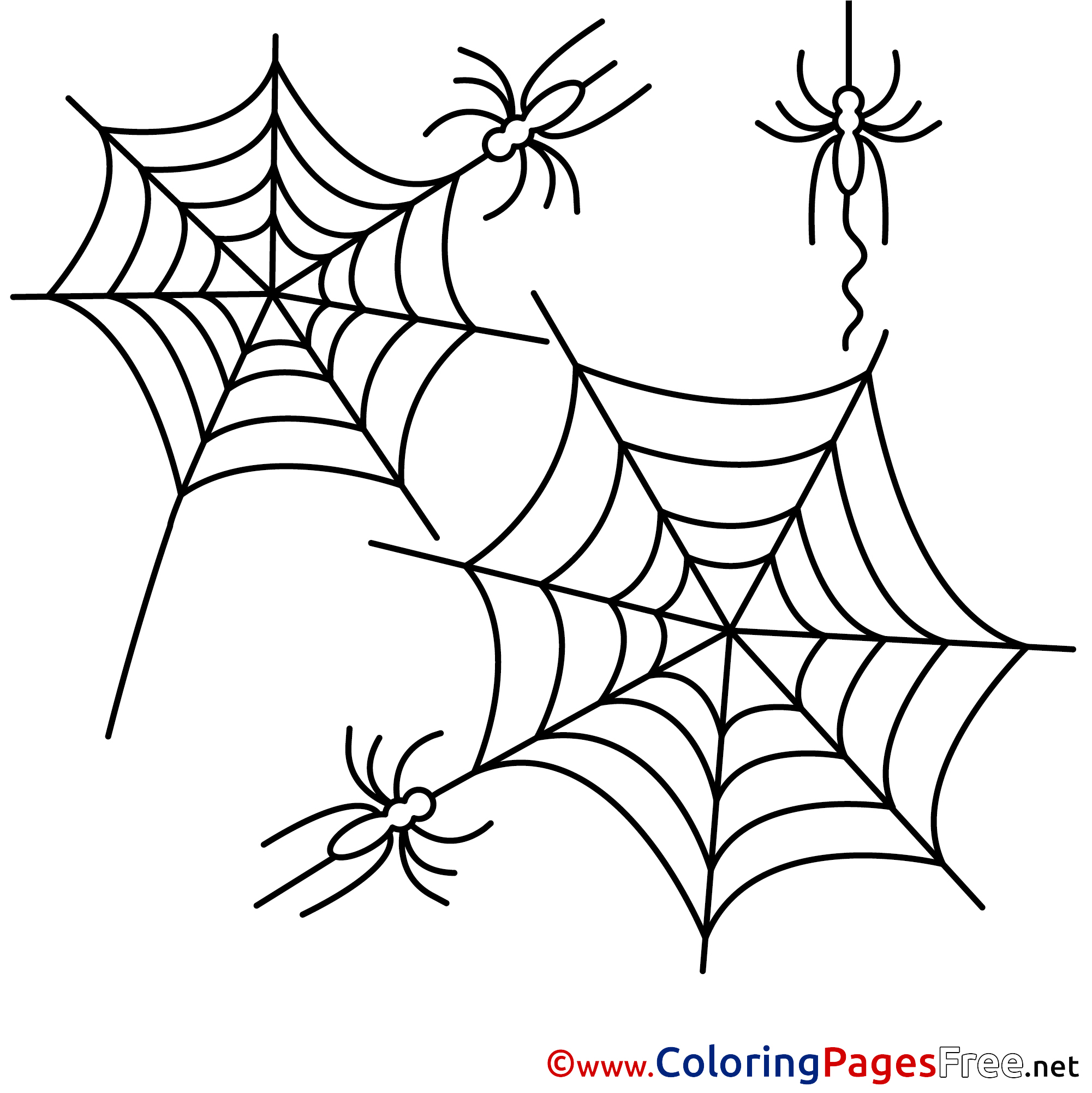 Coloring Pages Of Spider