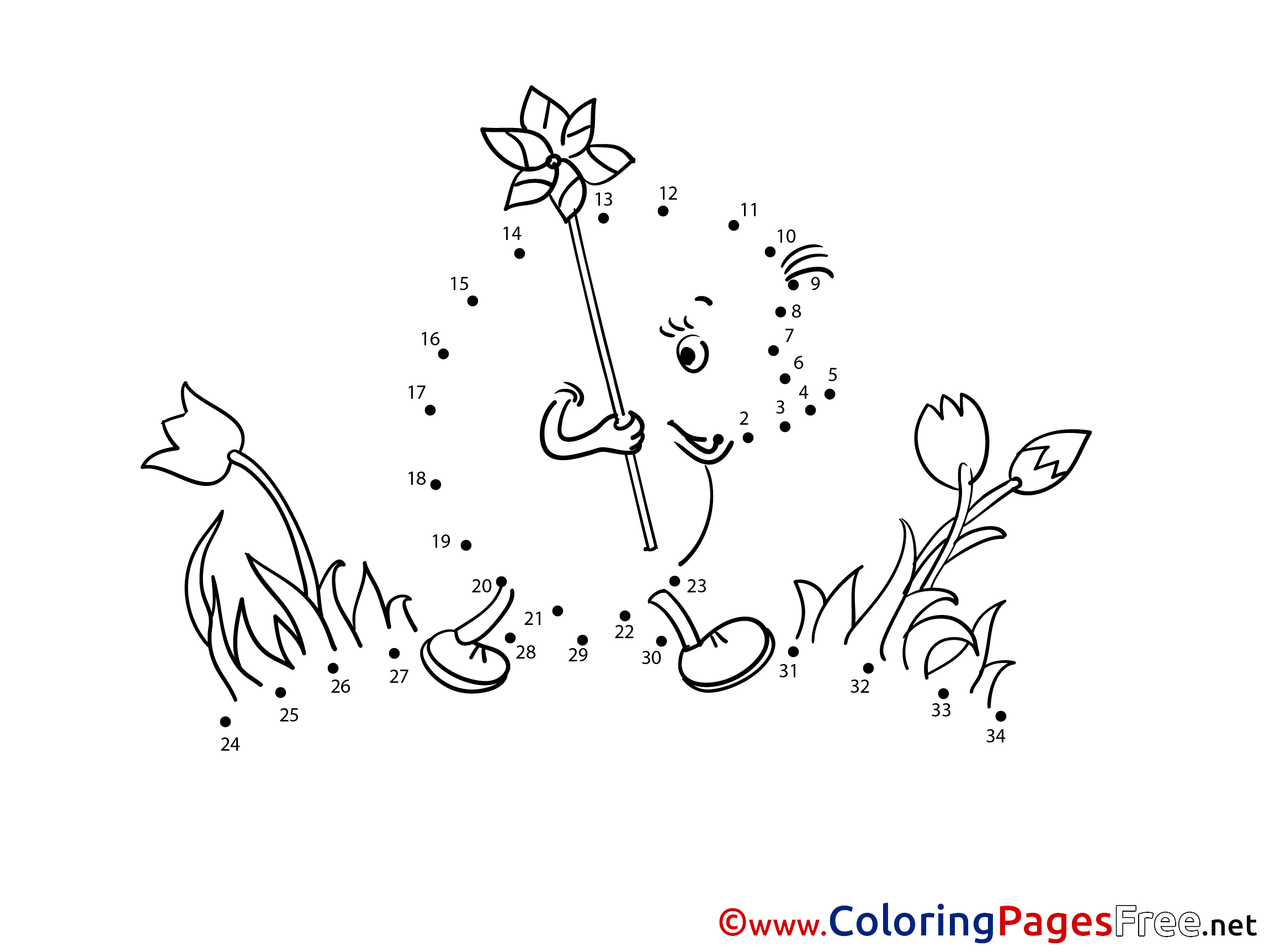 Hedgehog Coloring Sheets Painting By Number Free
