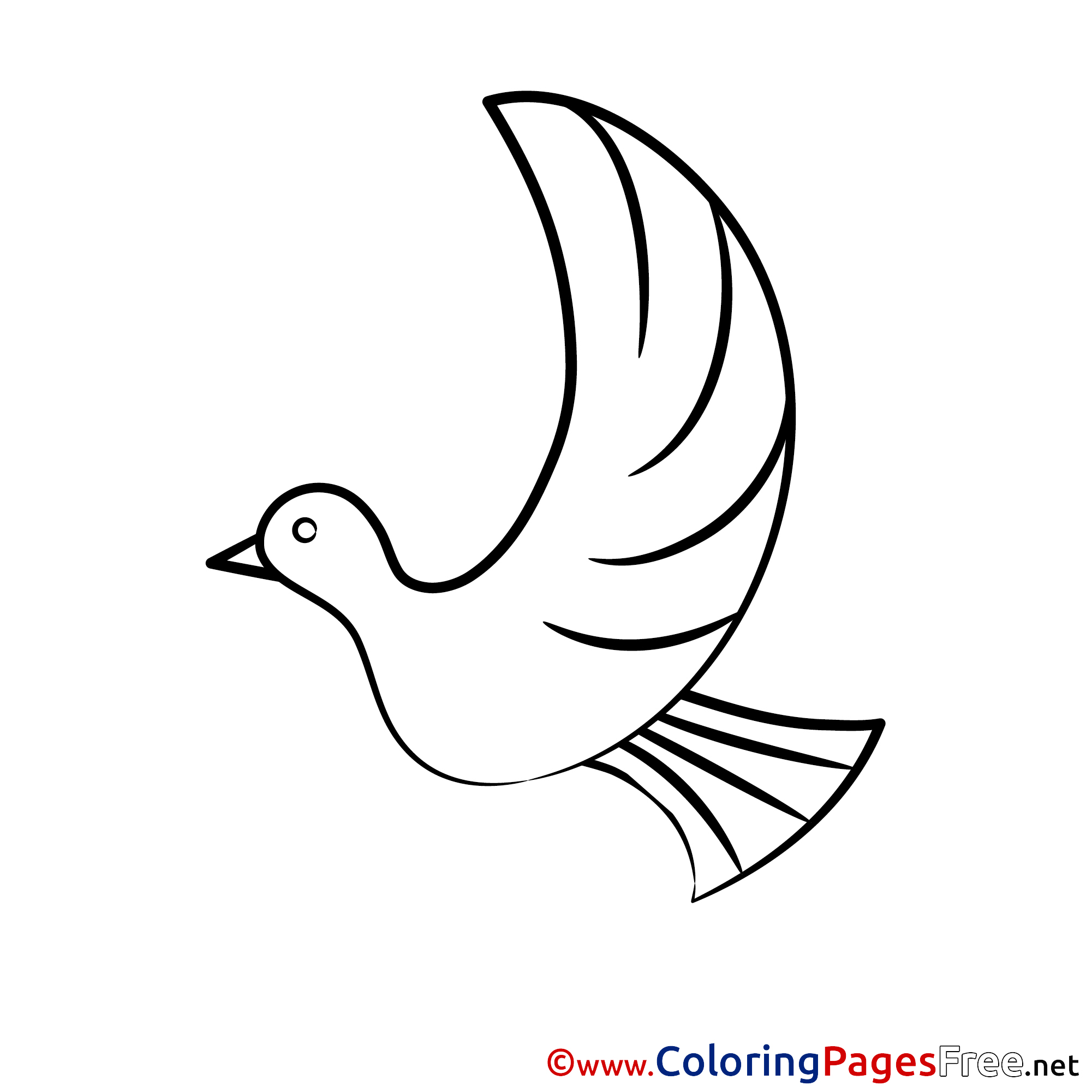 Confirmation Coloring Pages Download Pigeon