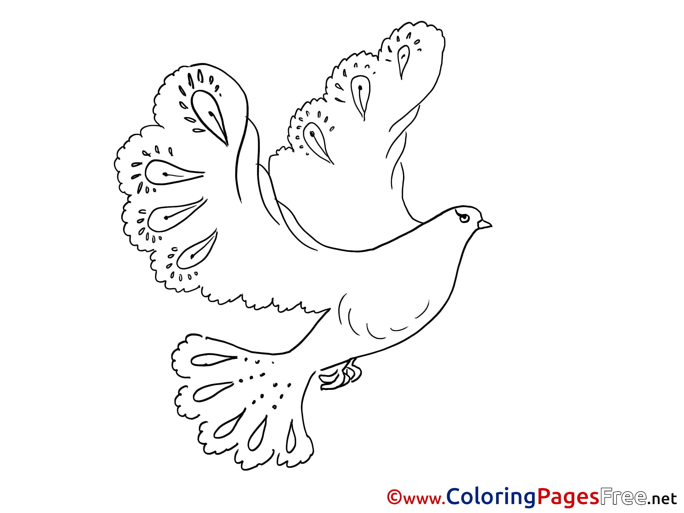 Pentecost Coloring Pages Pigeon Download