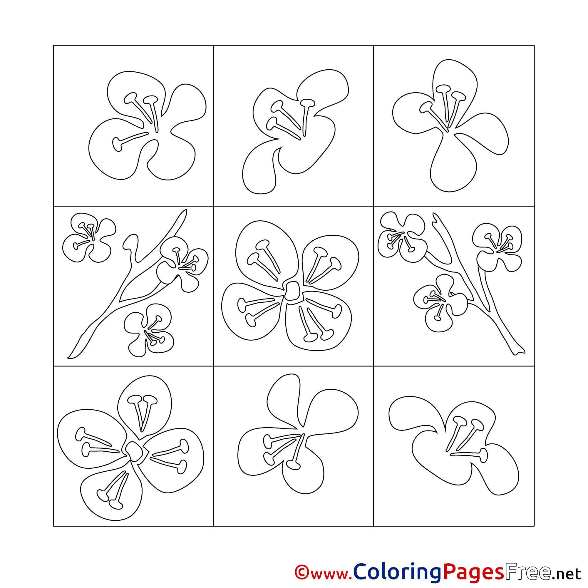 Decoration Spring Coloring Pages Free