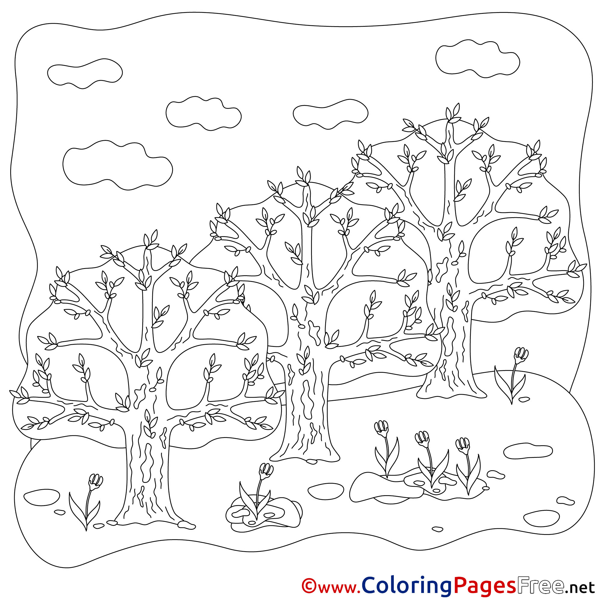 Раскраска день леса. Весенний лес раскраска для детей. Раскраска день леса для детей. Весенний пейзаж раскраска для детей. Раскраска деревья в лесу.