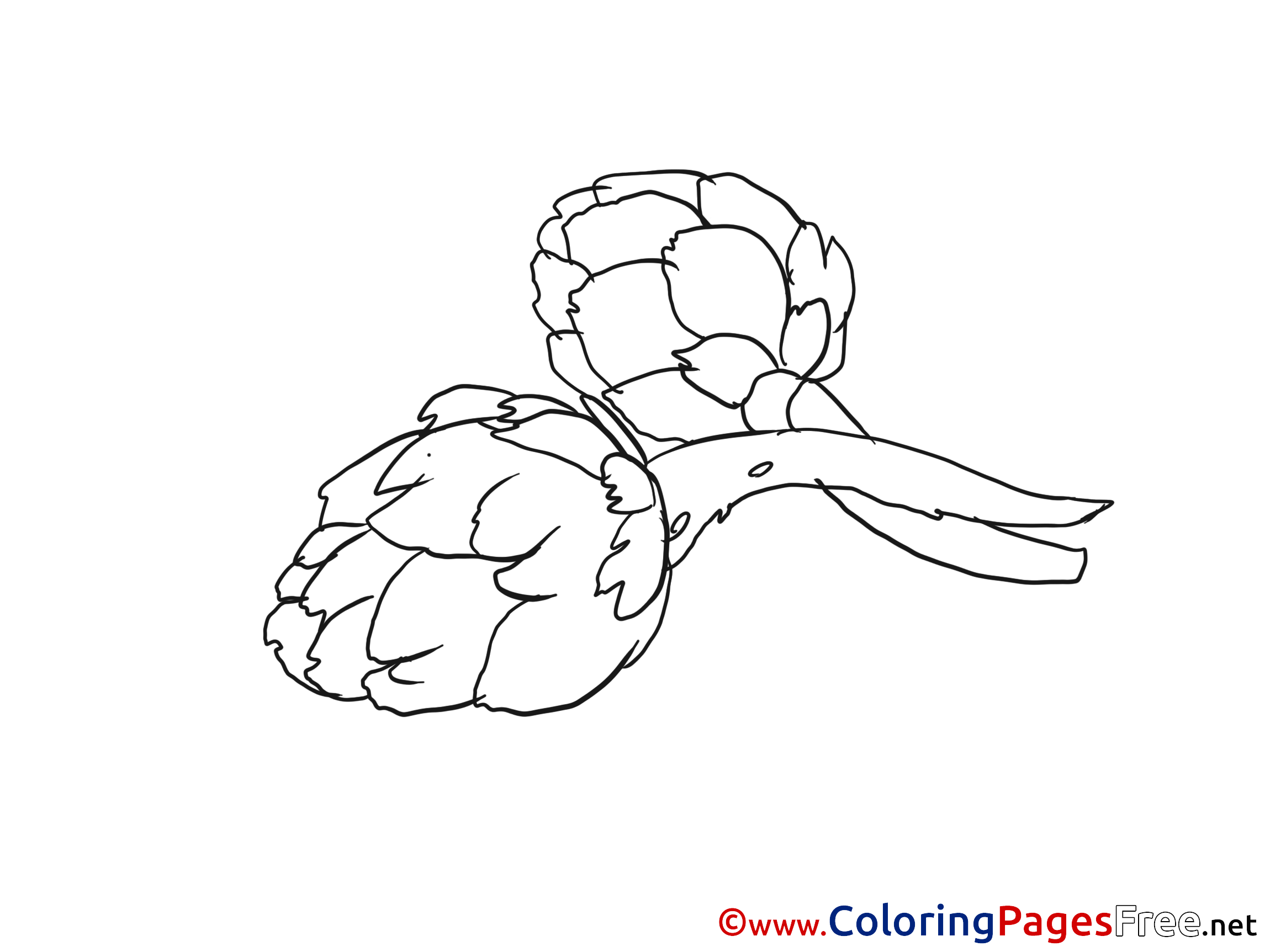 Children Coloring Pages Free Vegetables