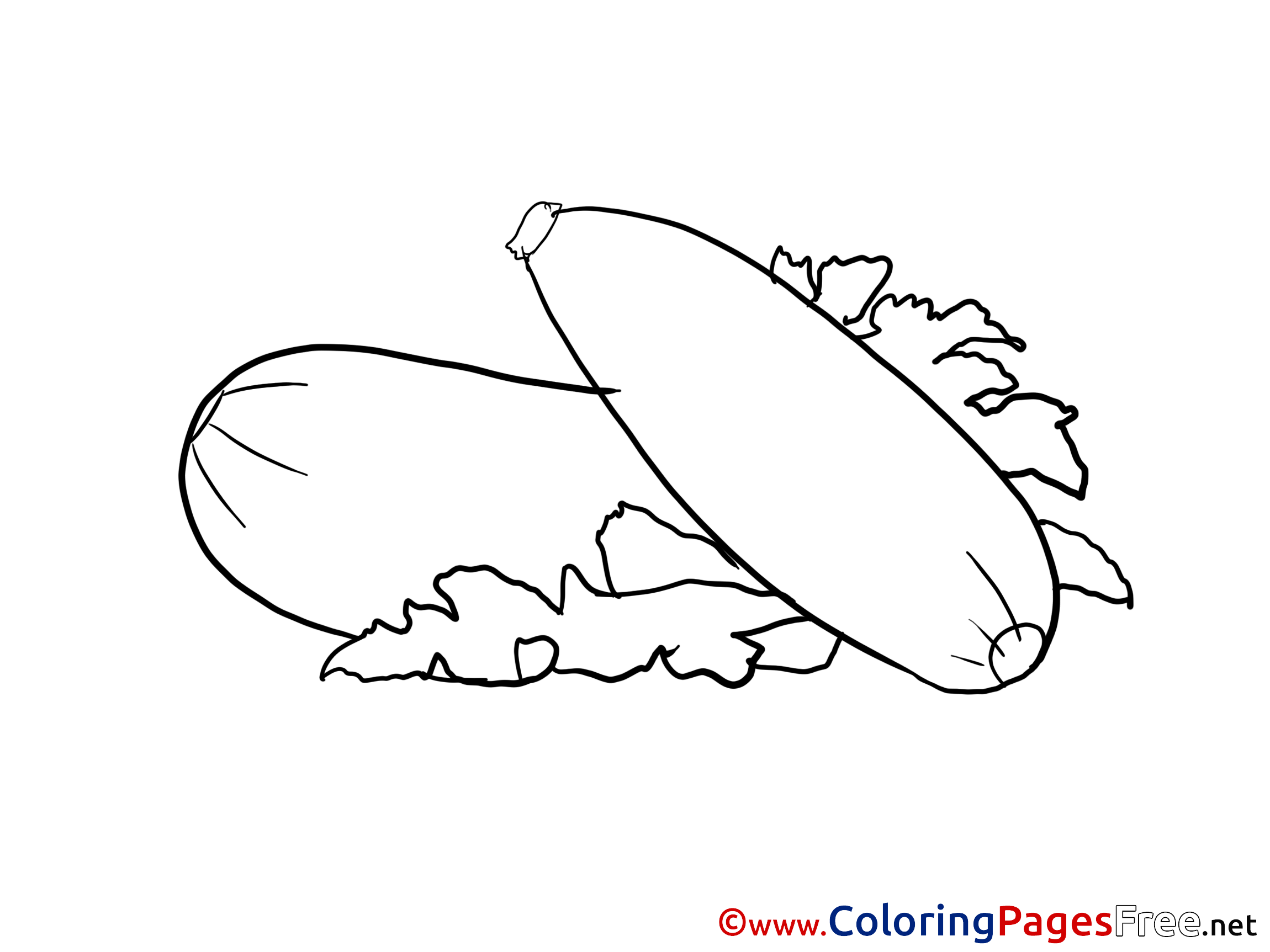 Zucchini Coloring Pages For Free