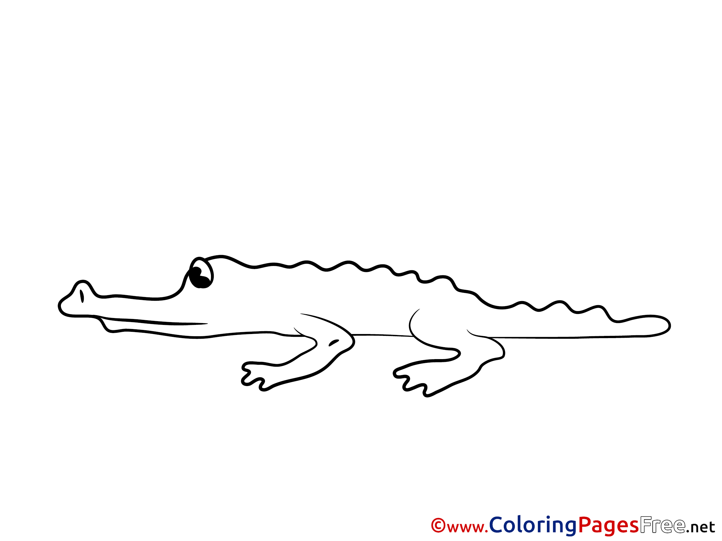 Crocodile Free Printable Coloring Sheets