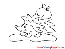 Apple Hedgehog Children download Colouring Page