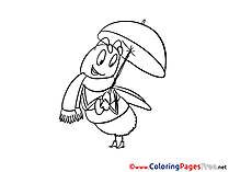 Bee Colouring Page printable free