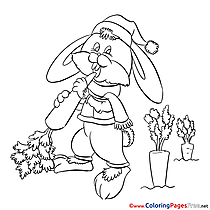 Bunny Coloring Sheets download free