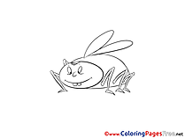 Cockroach free printable Coloring Sheets