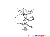 Deer Colouring Sheet download free