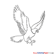 Eagle for Kids printable Colouring Page