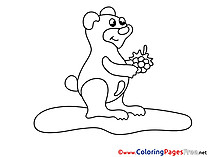 For free Bear Coloring Pages download