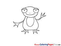 Frog download Colouring Sheet free