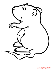 Hamster coloring page free