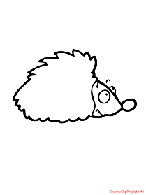 Hedgehog coloring sheet