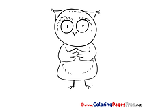 Owl for Kids printable Colouring Page