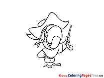 Parrot Coloring Pages for free