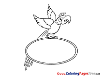 Parrot free Colouring Page download