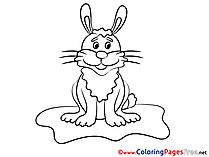 Rabbit Colouring Page printable free