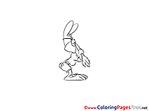 Rabbit free Colouring Page download