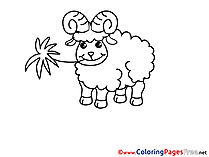 Sheep free printable Coloring Sheets