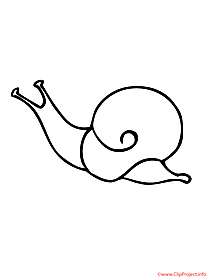 Snail coloring picture for free