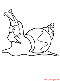 Snail coloring sheet free