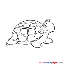 Turtle Coloring Pages for free