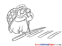 Turtle download printable Coloring Pages