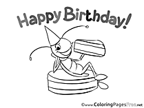 Cockroach Coloring Sheets Birthday free