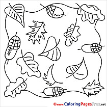 Acorns Autumn download Colouring Sheet free