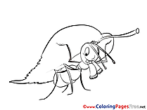 Ant Kids free Coloring Page