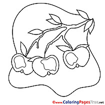 Apples printable Coloring Pages for free