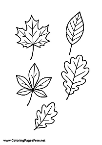 Assorted Autumn Leaves Coloring Page