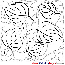 Autumn Colouring Sheet download free